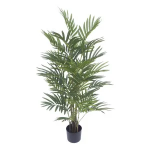 Real Touch Mini Palm Tree In Black Pot 120cm by OneWorld Collection, a Plants for sale on Style Sourcebook