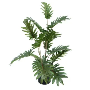 Real Touch Philo In Black Pot 50cm by OneWorld Collection, a Plants for sale on Style Sourcebook