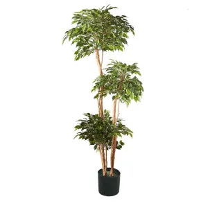 Ficus Tree 180cm by OneWorld Collection, a Plants for sale on Style Sourcebook