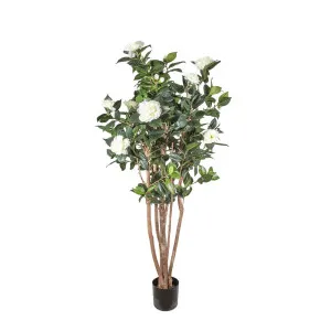 Camellia Japonica Tree White 1.6m by OneWorld Collection, a Plants for sale on Style Sourcebook