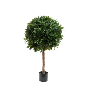 Laurel Ball Tree 1.1m by OneWorld Collection, a Plants for sale on Style Sourcebook