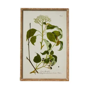 Greenhouse Botanical Wall Art A by OneWorld Collection, a Artwork & Wall Decor for sale on Style Sourcebook