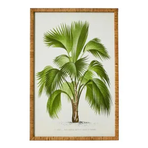 Palm Botanical Wall Art A by OneWorld Collection, a Artwork & Wall Decor for sale on Style Sourcebook