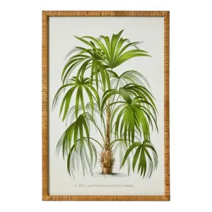 Palm Botanical Wall Art B by OneWorld Collection, a Artwork & Wall Decor for sale on Style Sourcebook
