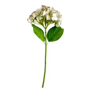 Hydrangea Stem Soft Touch 50cm Green by OneWorld Collection, a Plants for sale on Style Sourcebook