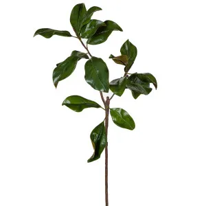 Magnolia Leaves Large Green by OneWorld Collection, a Plants for sale on Style Sourcebook