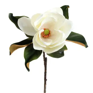 Magnolia 77cm White by OneWorld Collection, a Plants for sale on Style Sourcebook