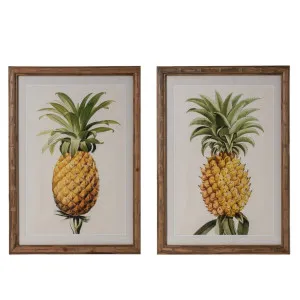 Plantation Pineapple Prints Set of Two by OneWorld Collection, a Artwork & Wall Decor for sale on Style Sourcebook