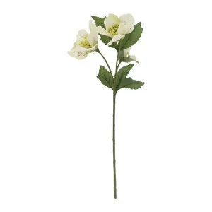 28Cm Xmas Rose Stem White by OneWorld Collection, a Plants for sale on Style Sourcebook