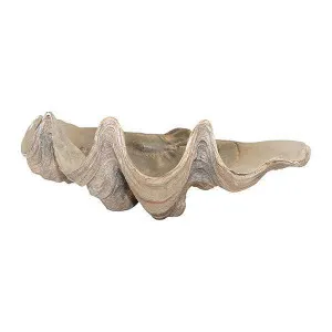 Decorative Clam Shell by OneWorld Collection, a Decor for sale on Style Sourcebook