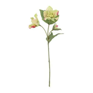 28Cm Xmas Rose Stem Pink by OneWorld Collection, a Plants for sale on Style Sourcebook