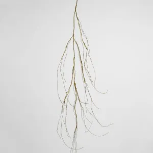 Twig Vine 135cm Dry Natural by Florabelle Living, a Plants for sale on Style Sourcebook