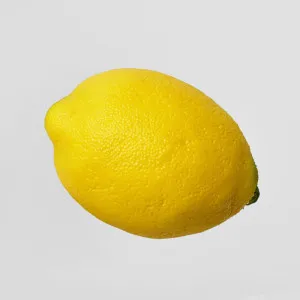 Lemon by Florabelle Living, a Plants for sale on Style Sourcebook