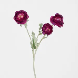 Ranunculus Stem With 3 Heads Magenta by Florabelle Living, a Plants for sale on Style Sourcebook