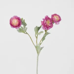 Ranunculus Stem With 3 Heads Pink by Florabelle Living, a Plants for sale on Style Sourcebook