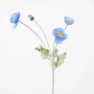 Poppy Spray Blue by Florabelle Living, a Plants for sale on Style Sourcebook