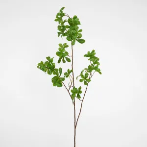 Mini Leaf Spray by Florabelle Living, a Plants for sale on Style Sourcebook