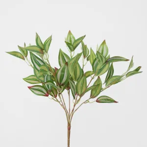 Wandering Jew leaf Spray Green by Florabelle Living, a Plants for sale on Style Sourcebook