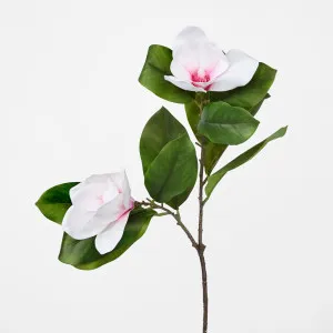 Magnolia Stem Pink by Florabelle Living, a Plants for sale on Style Sourcebook