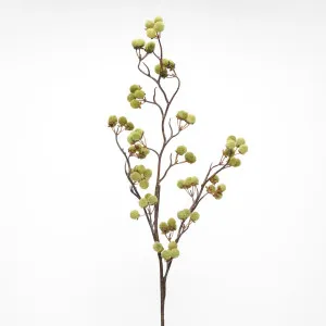 Flocked Berry Stem Green by Florabelle Living, a Plants for sale on Style Sourcebook