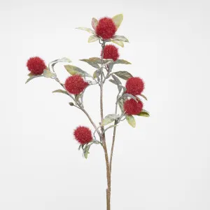 Chenille Spray by Florabelle Living, a Plants for sale on Style Sourcebook