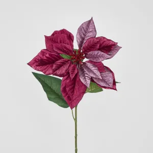 Mettalic & Velvet Single Large Poinsettia Burgundy by Florabelle Living, a Plants for sale on Style Sourcebook