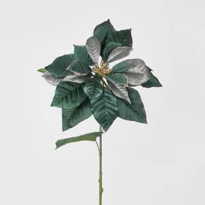 Mettalic & Velvet Single Large Poinsettia Green by Florabelle Living, a Plants for sale on Style Sourcebook