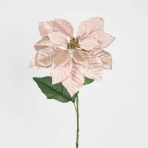 Mettalic & Velvet Single Large Poinsettia Peach by Florabelle Living, a Plants for sale on Style Sourcebook