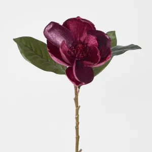 Single Magnolia with 2 Leaves Burgundy by Florabelle Living, a Plants for sale on Style Sourcebook