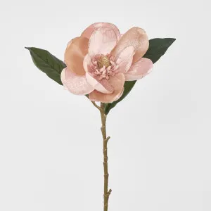 Single Magnolia with 2 Leaves Peach by Florabelle Living, a Plants for sale on Style Sourcebook