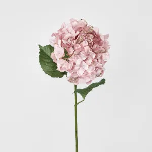 Single Hydrangea with 2 Leaves Pink by Florabelle Living, a Plants for sale on Style Sourcebook