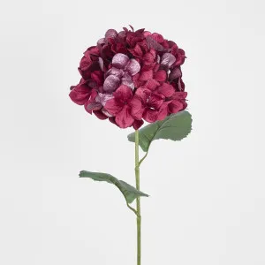 Single Hydrangea with 2 Leaves Burgundy by Florabelle Living, a Plants for sale on Style Sourcebook