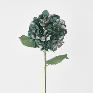 Single Hydrangea with 2 Leaves Green by Florabelle Living, a Plants for sale on Style Sourcebook