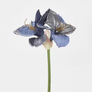 Amaryllis Spray with 2 Flowers Blue by Florabelle Living, a Plants for sale on Style Sourcebook