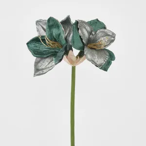 Amaryllis Spray with 2 Flowers Green by Florabelle Living, a Plants for sale on Style Sourcebook