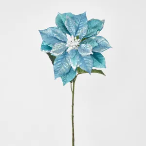 Single LargeGlitter Poinsettia Teal by Florabelle Living, a Plants for sale on Style Sourcebook