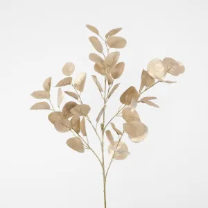 Silver Dollar Eucalyptus Spray Gold by Florabelle Living, a Plants for sale on Style Sourcebook