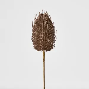 Banksia Glitter Stem Copper by Florabelle Living, a Plants for sale on Style Sourcebook