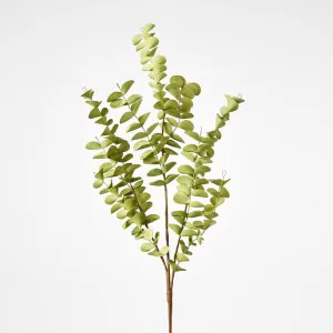Eucalyptus Stem Light Green by Florabelle Living, a Plants for sale on Style Sourcebook