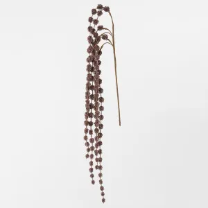 Hanging Glitter Stem Copper by Florabelle Living, a Plants for sale on Style Sourcebook