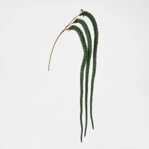 Amaranthus Stem Emerald Green by Florabelle Living, a Plants for sale on Style Sourcebook
