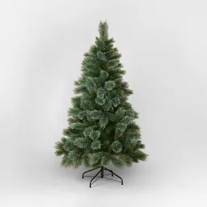 Emerald Cashmere Pine Tree 180cm With bag by Florabelle Living, a Plants for sale on Style Sourcebook