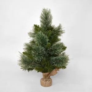 Emerald Cashmere MIni Tree 60cm by Florabelle Living, a Plants for sale on Style Sourcebook
