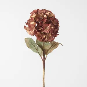 Gilded Hydrangea Stem Bronze by Florabelle Living, a Plants for sale on Style Sourcebook