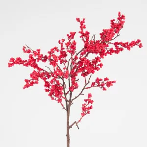 Berry Cluster Stem Red by Florabelle Living, a Plants for sale on Style Sourcebook