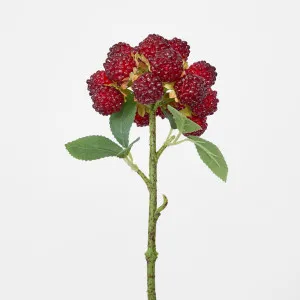 Sugared Raspberry Spray by Florabelle Living, a Plants for sale on Style Sourcebook