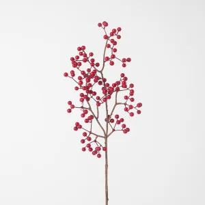 Red Berry Stem by Florabelle Living, a Plants for sale on Style Sourcebook