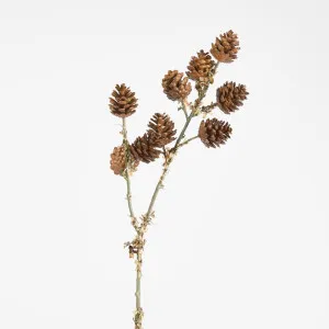 Pine Cone Stem by Florabelle Living, a Plants for sale on Style Sourcebook
