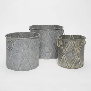 Drum Metal Tin Pots Set of 3 by Florabelle Living, a Christmas for sale on Style Sourcebook