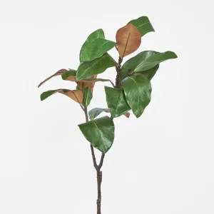 Magnolia Spray by Florabelle Living, a Plants for sale on Style Sourcebook